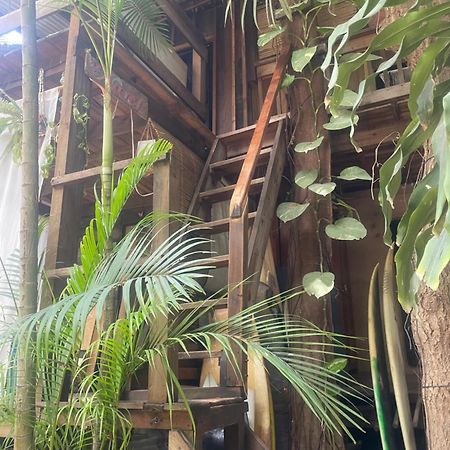 Apartamento La Punta Surf House -Tree House Starlink Puerto Escondido  Exterior foto
