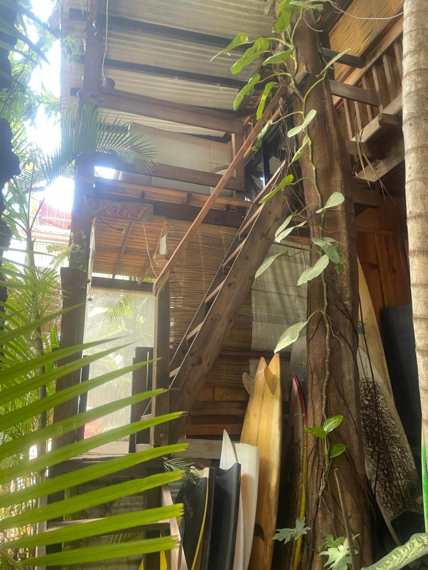 Apartamento La Punta Surf House -Tree House Starlink Puerto Escondido  Exterior foto