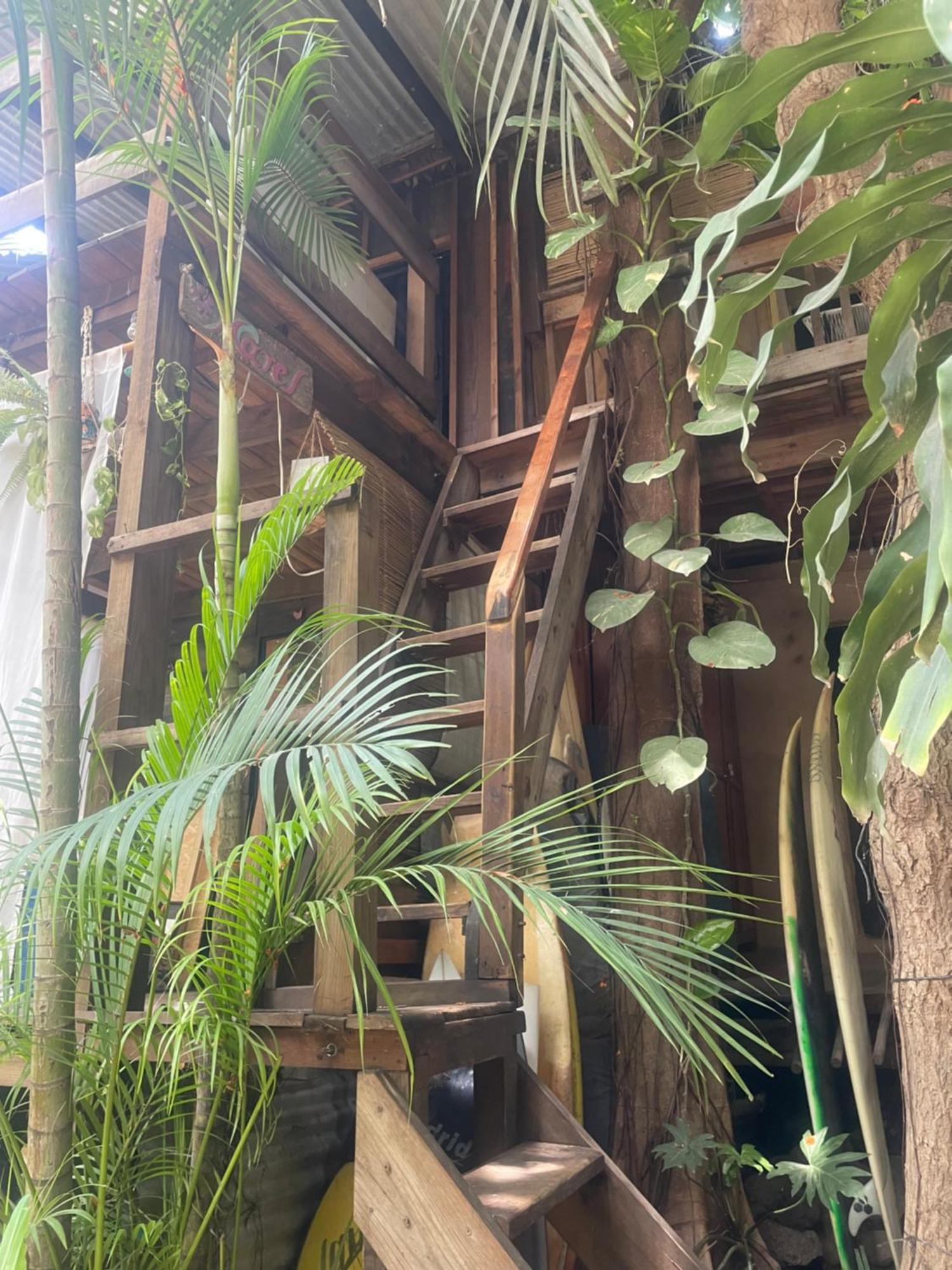 Apartamento La Punta Surf House -Tree House Starlink Puerto Escondido  Exterior foto